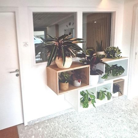 Moderne F3 - 10 Min Aeroport Cdg - Paris - Parc Asterix - Disneyland Paris - Tour Eiffel - Champs Elysee - 15 Min Parc Des Expositions Villepinte - 10 Min Le Bourget - 5 Min Du Golf International De Roissy- Jo 2024 Le Thillay Exterior photo